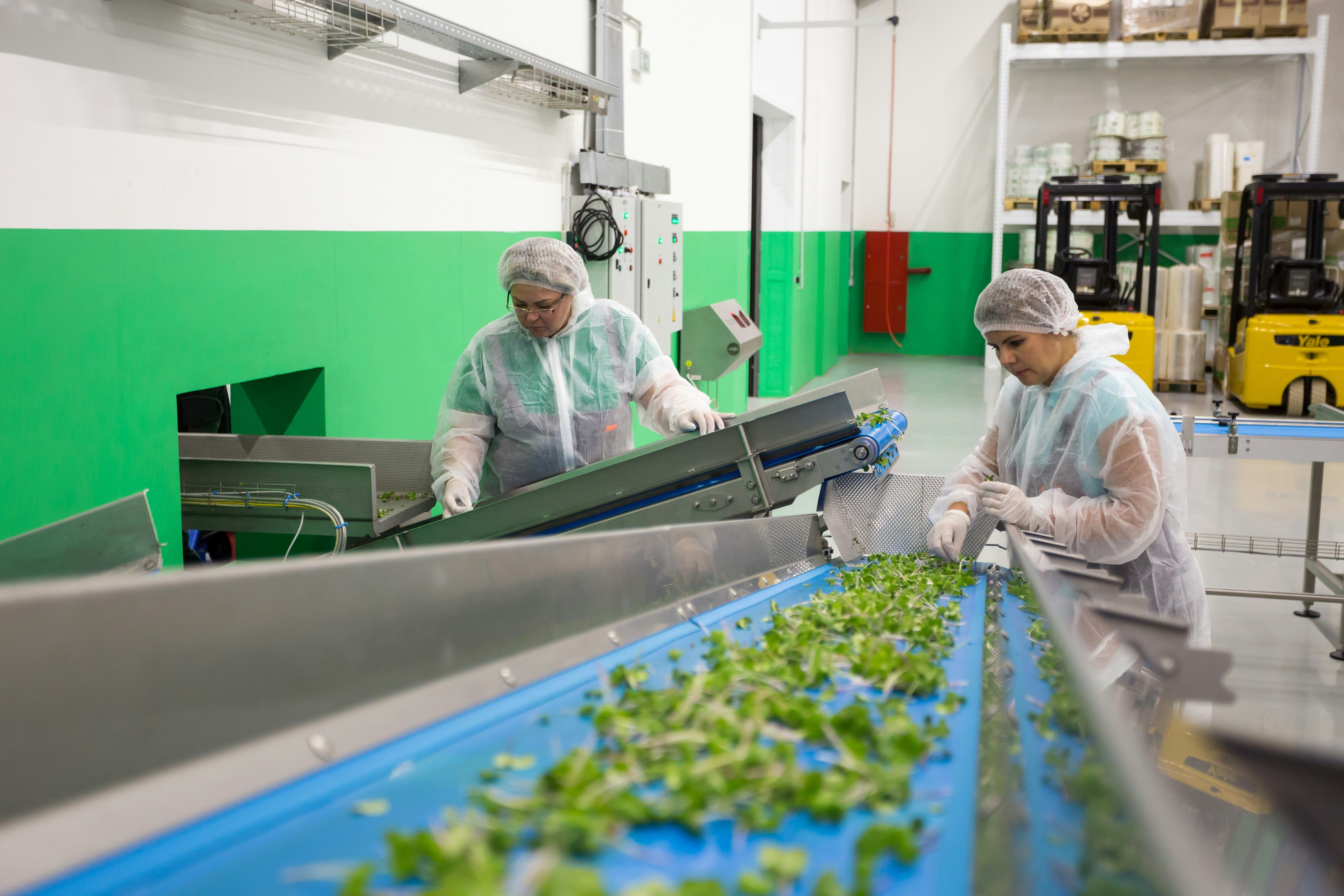 food industry environment