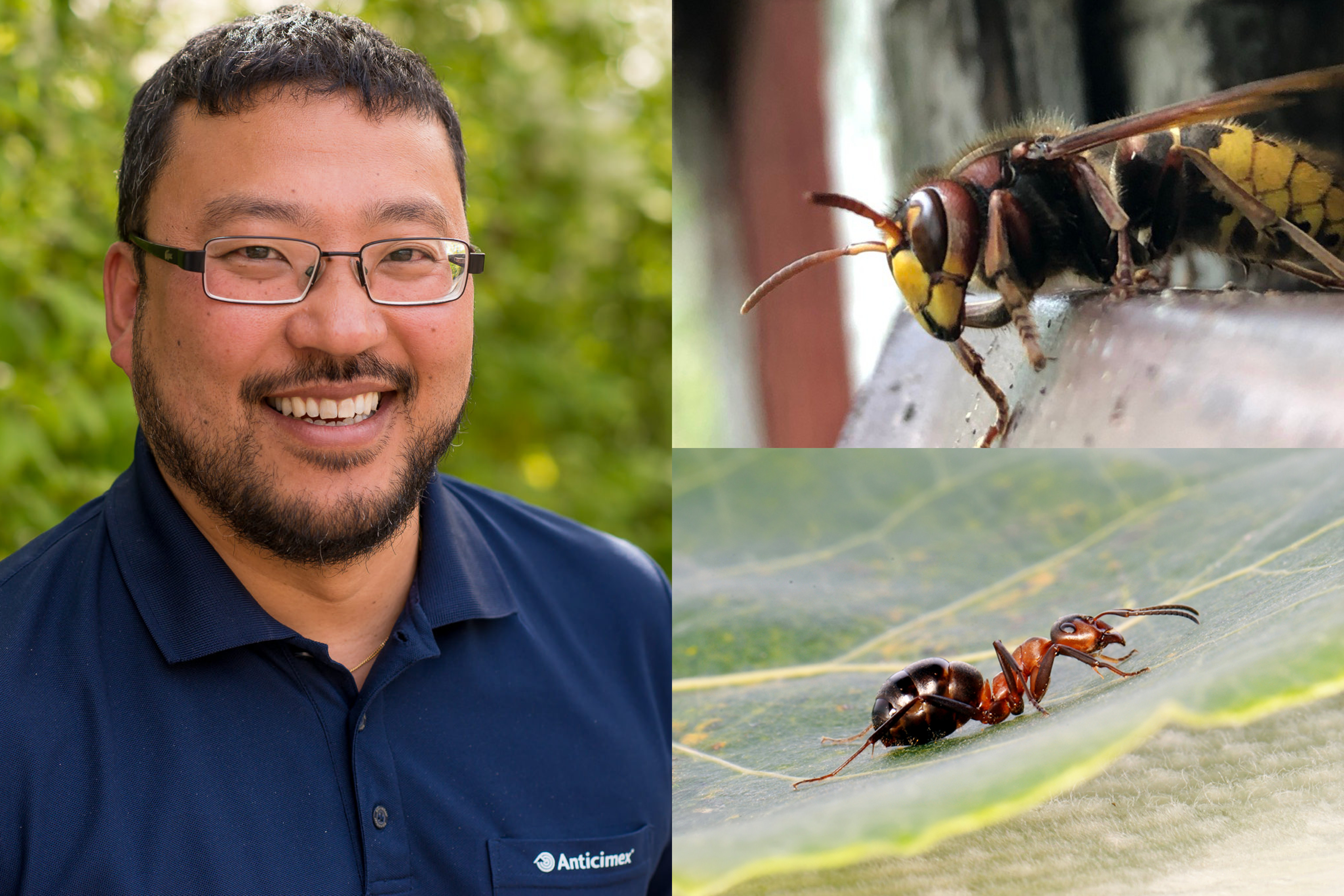 thomas persson pest control expert & trainer sweden