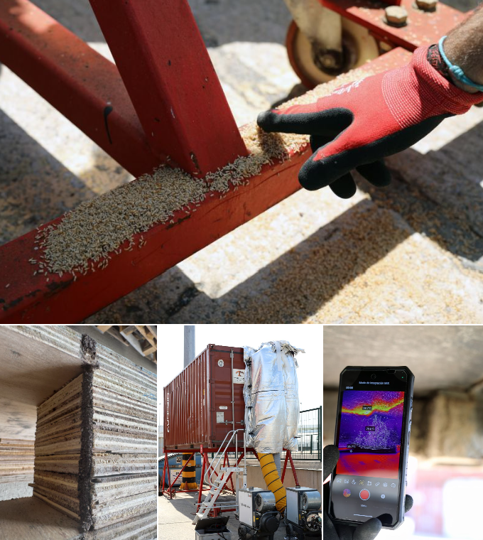 termite inspection & treatment in shipping container barcelona port