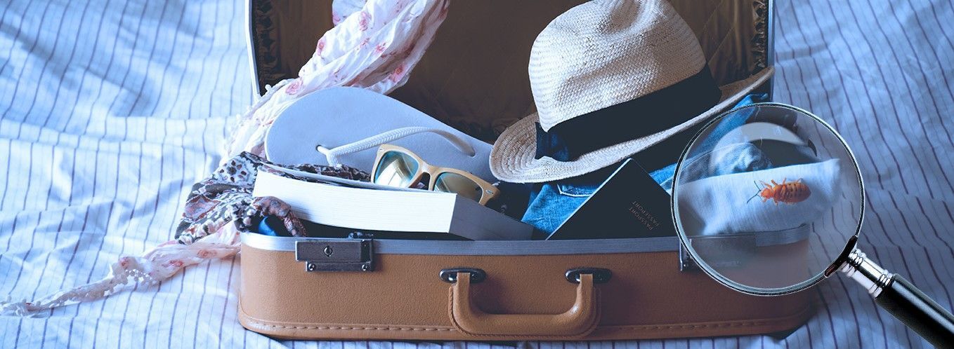 come si prendono le cimici dei letti