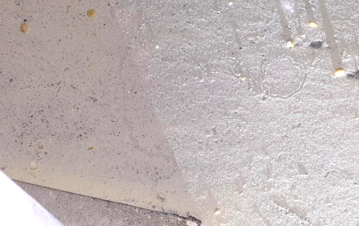 segni della presenza di punteruolo della farina nei residui