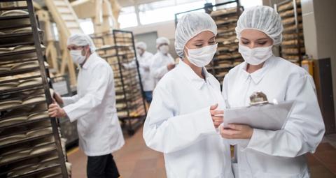 audit sulla gestione dei parassiti