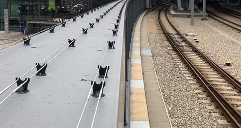 filo per la disinfestazione degli uccelli