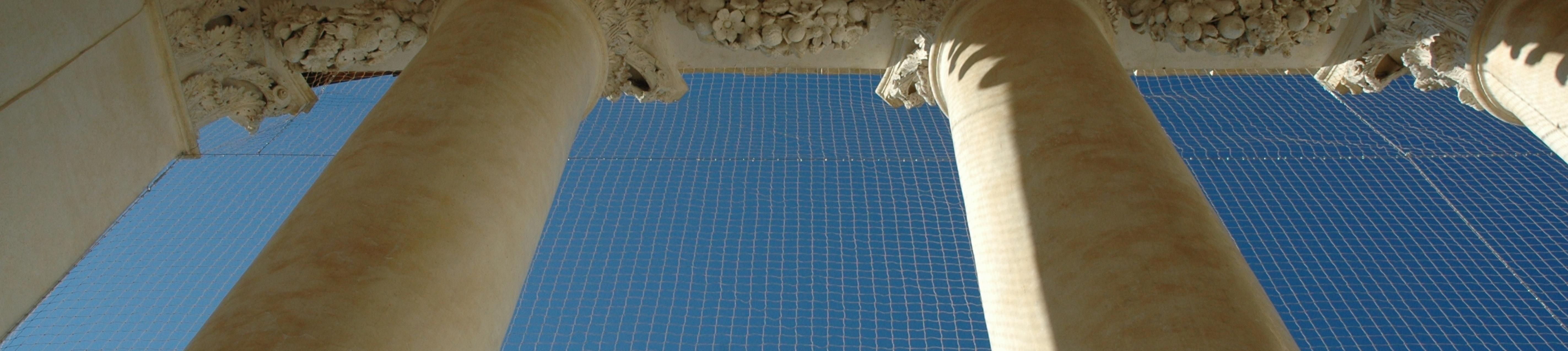 Allontanamento volatili