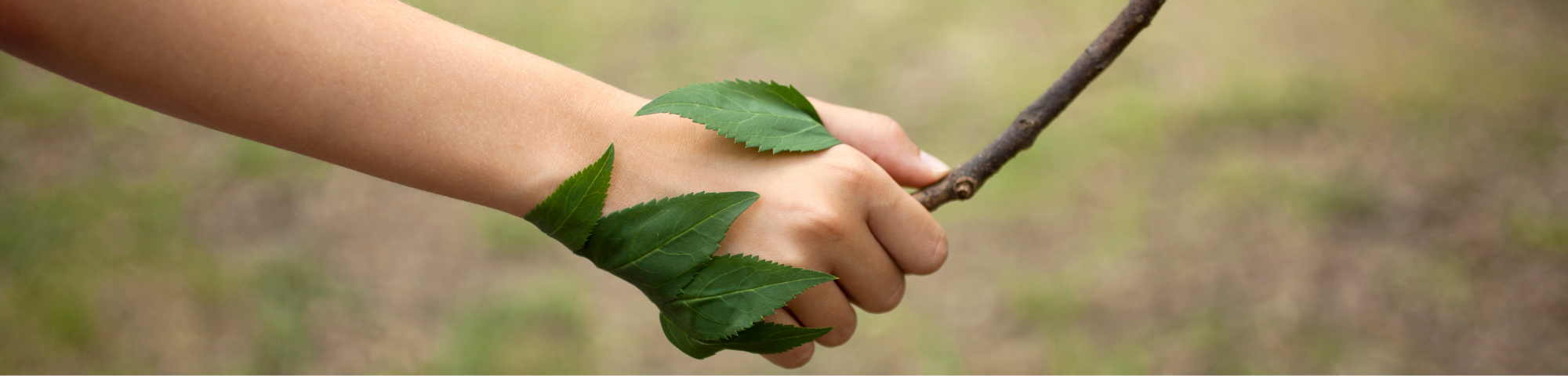 ecosostenibile