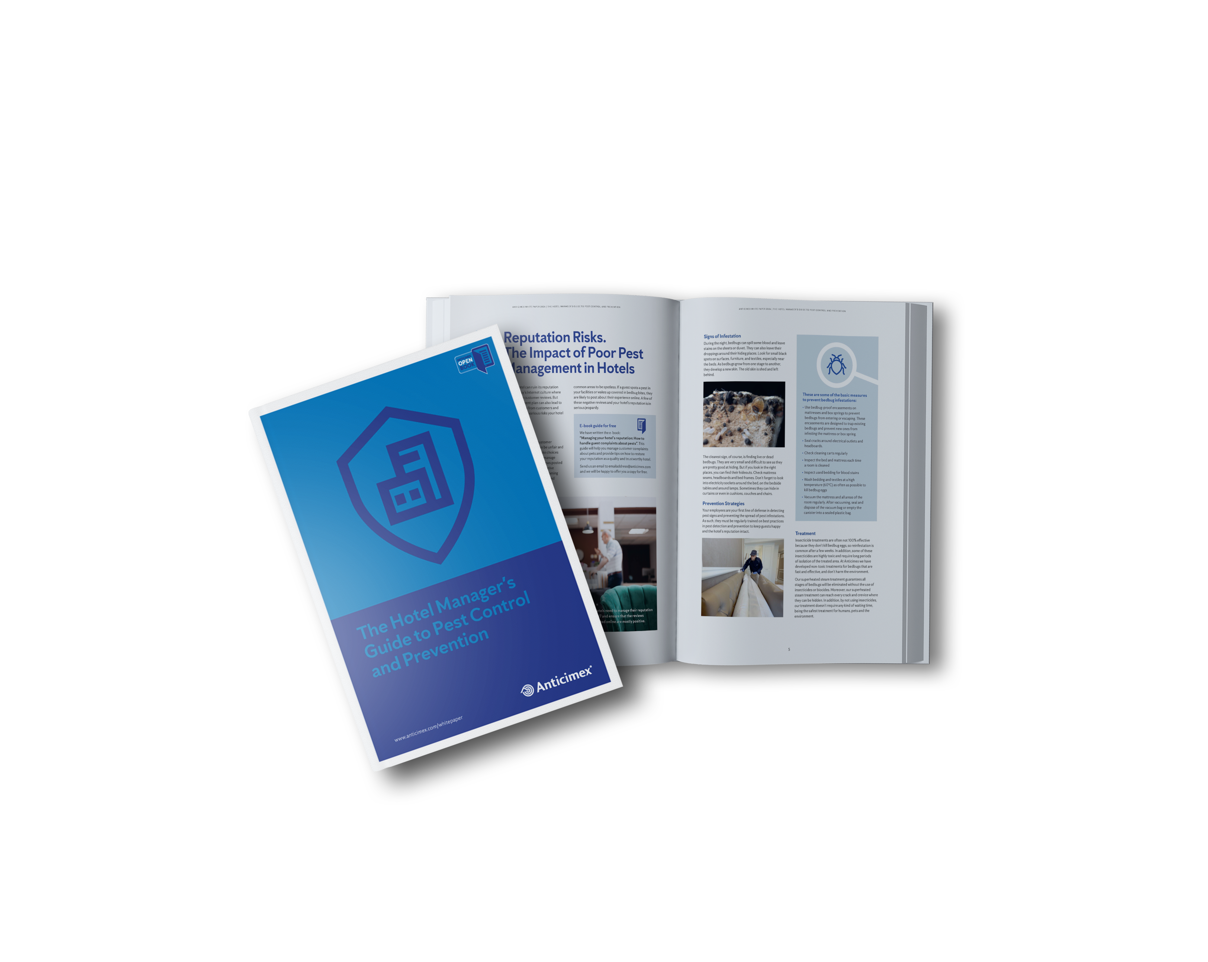 Guida alle cimici dei letti industria alberghiera