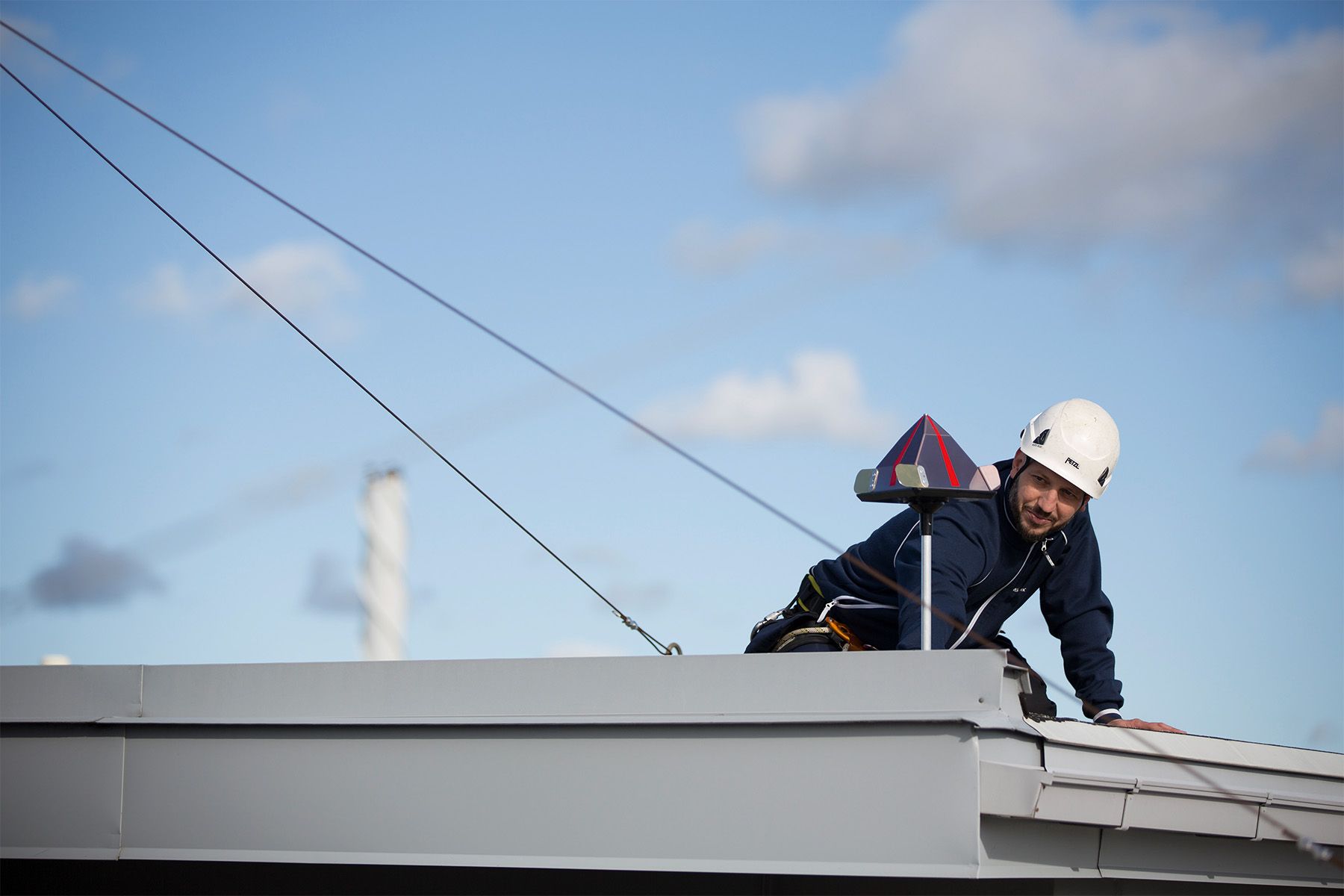 specialista di volatili che installa un dissuasore per uccelli