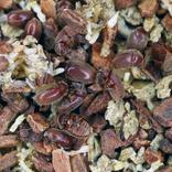 disinfestazione anobio del tabacco