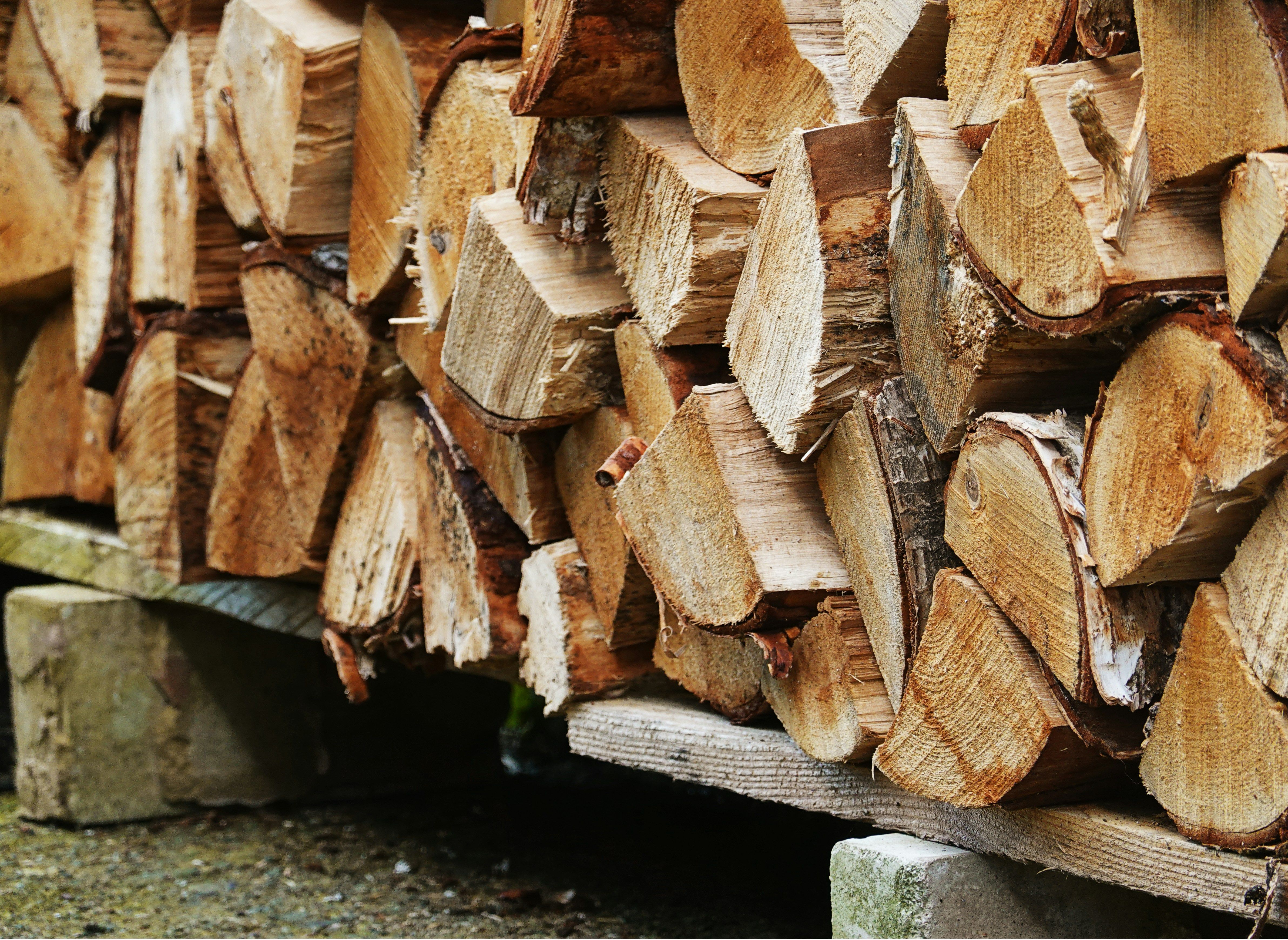 cataste di legno