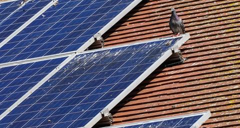 pannelli solari per il controllo degli uccelli