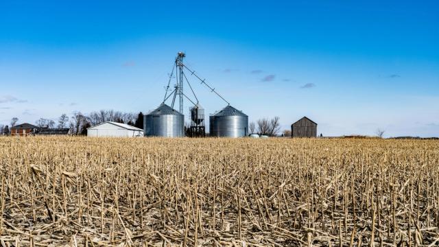 silo per cereali