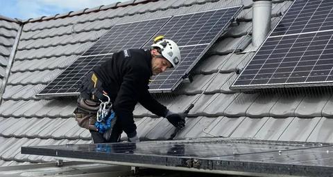 Bird protection for solar panels