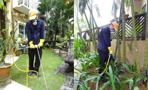 professional termite treatment