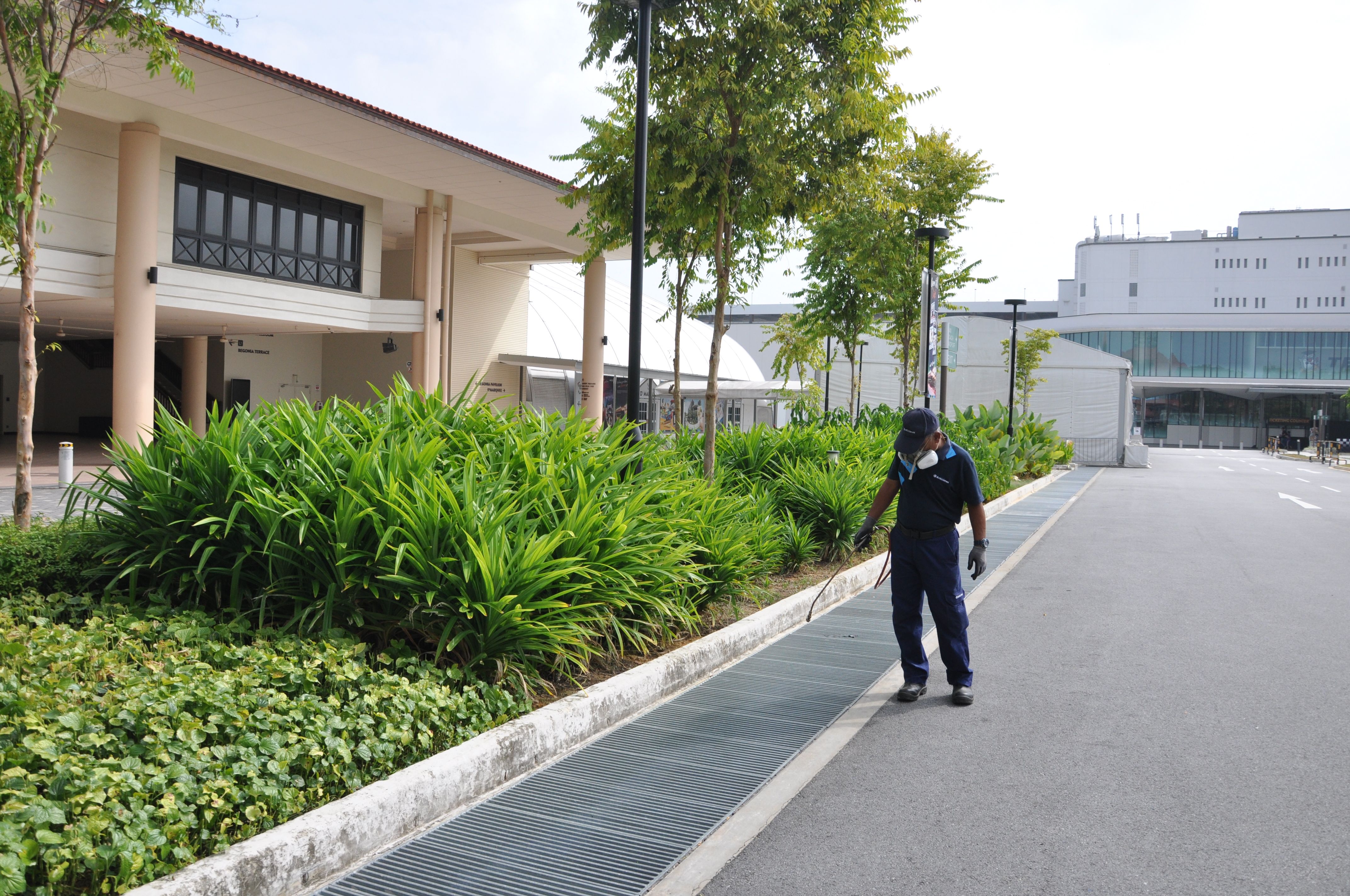 Pest Control for Garden