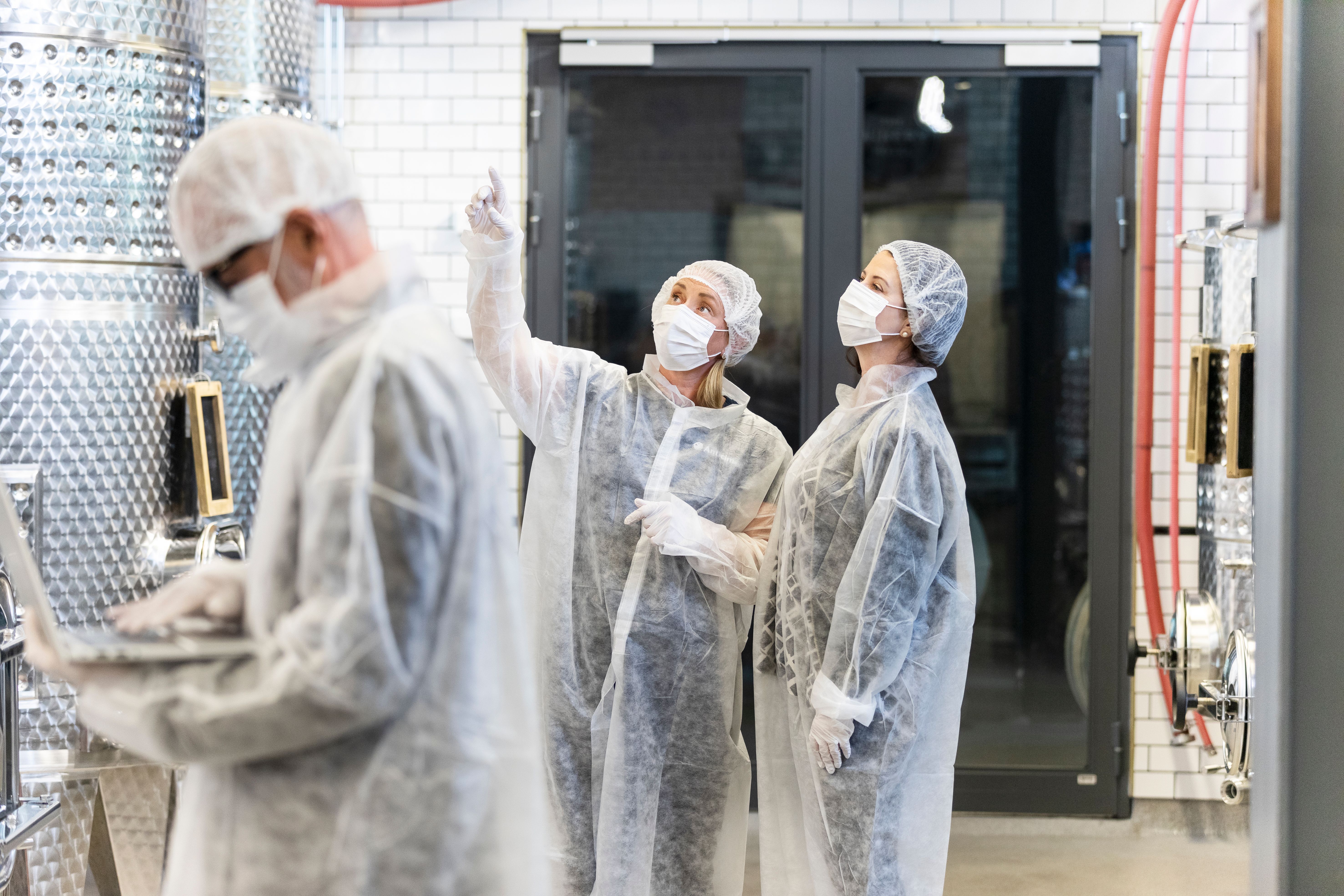 Regulatory and Commercial Standards in Food Processing