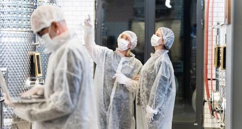 Regulatory and Commercial Standards in Food Processing