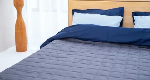 Effective Bed Bugs treatment