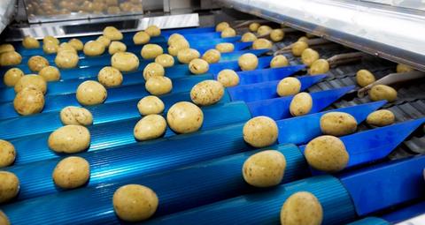 prevent pest infestation in food processing facility