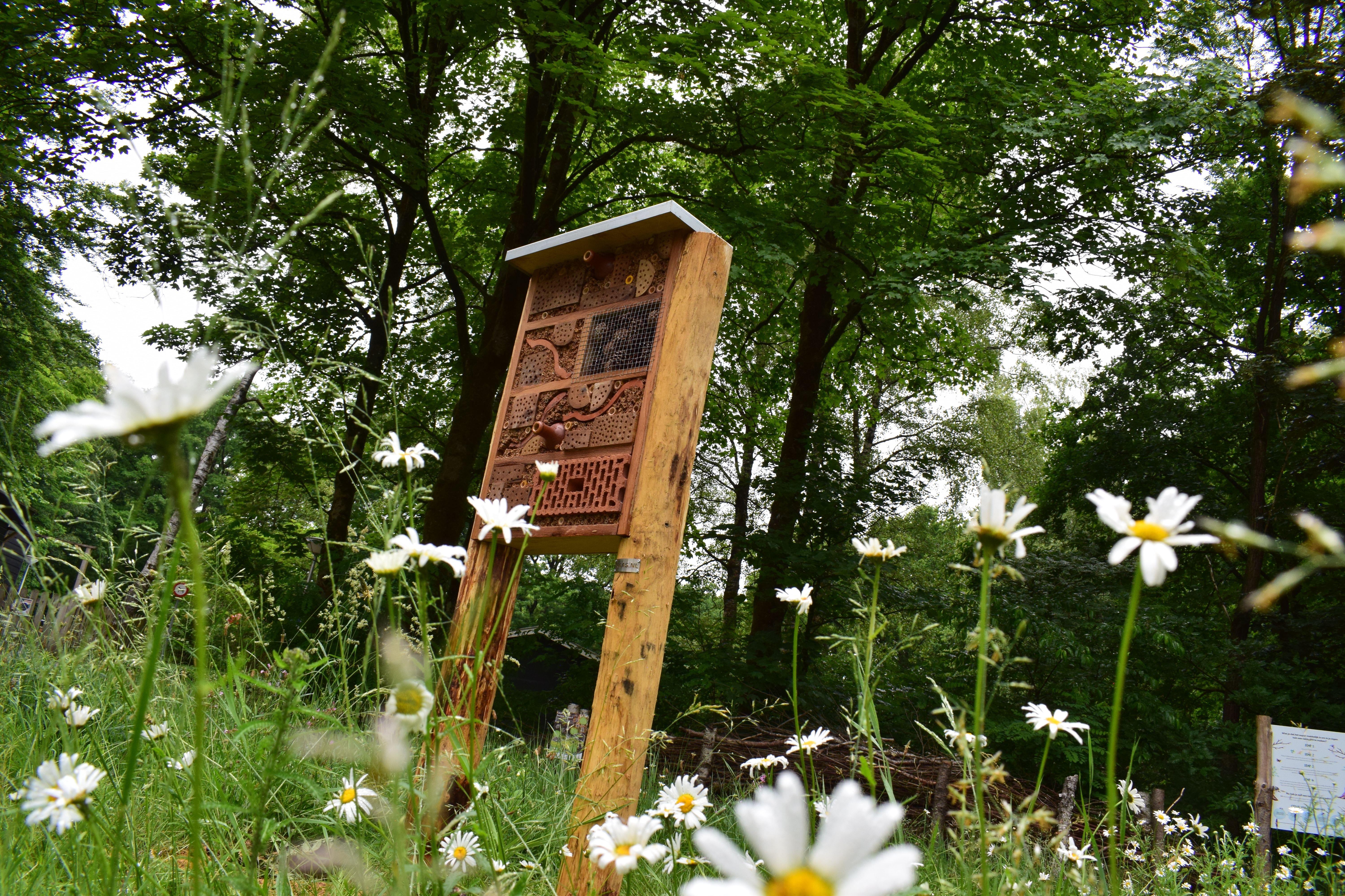 buzzle insectenhotels