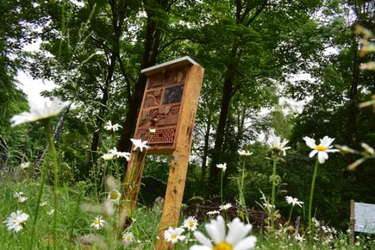 Insectenhotels