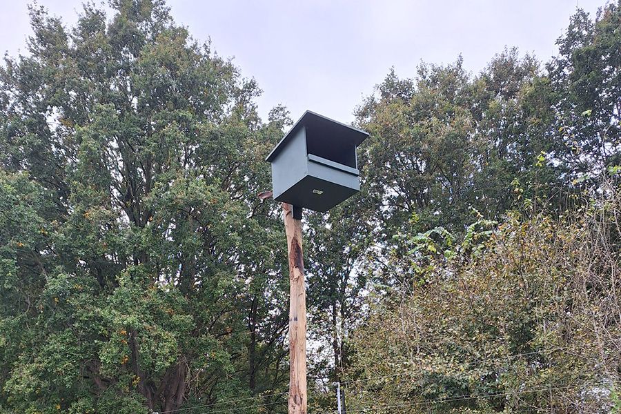 A dark green, open-front nesting box on a wooden pole, surrounded by trees under an overcast sky.