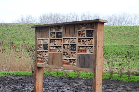 insectenhotel stad rotterdam