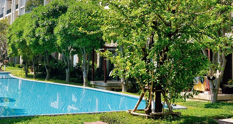 Hoe houdt u de buitenruimtes van uw hotel vrij van plaagdieren?