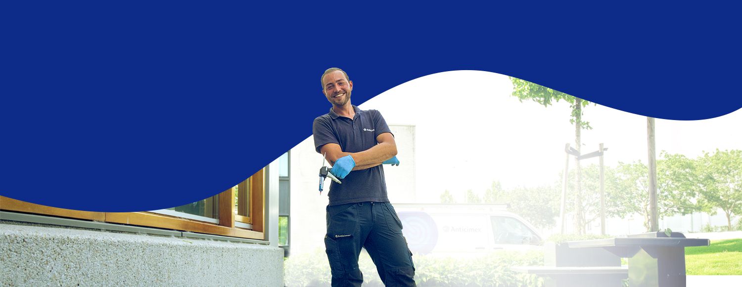 zomeractie vliegende en kruipende insecten