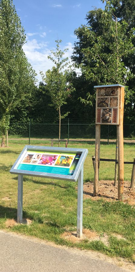 An outdoor information sign and a tall wooden insect hotel stand on a grassy lawn next to a paved path under a blue sky.