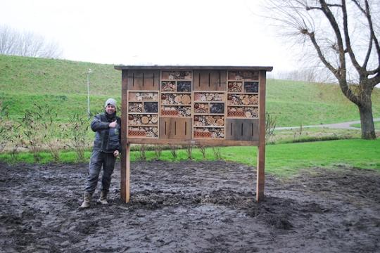 insectenhotel stad rotterdam