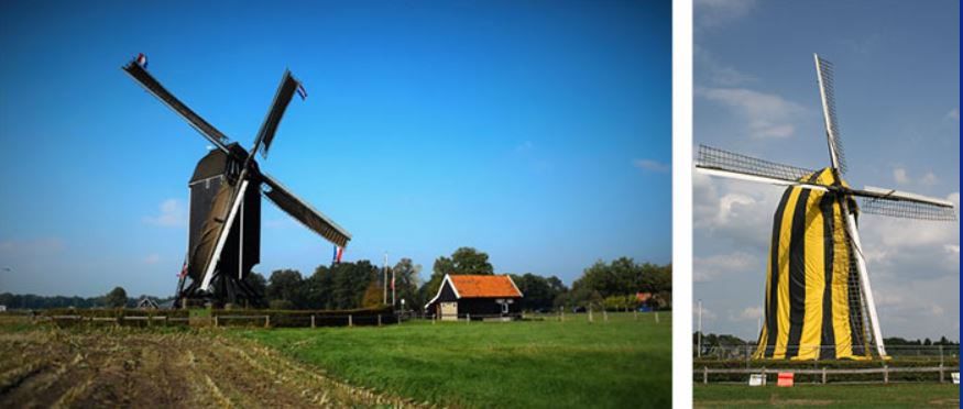houtworm bestrijden monument & erfgoed