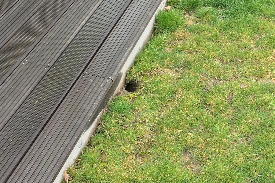 Dark wooden deck next to grass with a small hole at the edge.