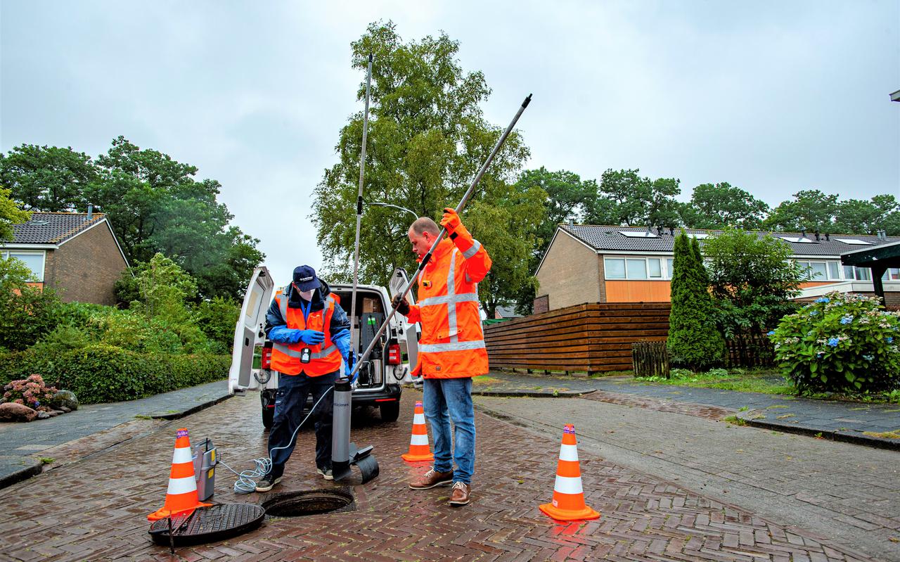 Ratten bestrijden met rioolval