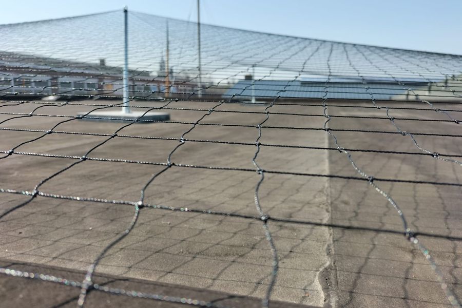 Bird netting over a rooftop with solar panels.