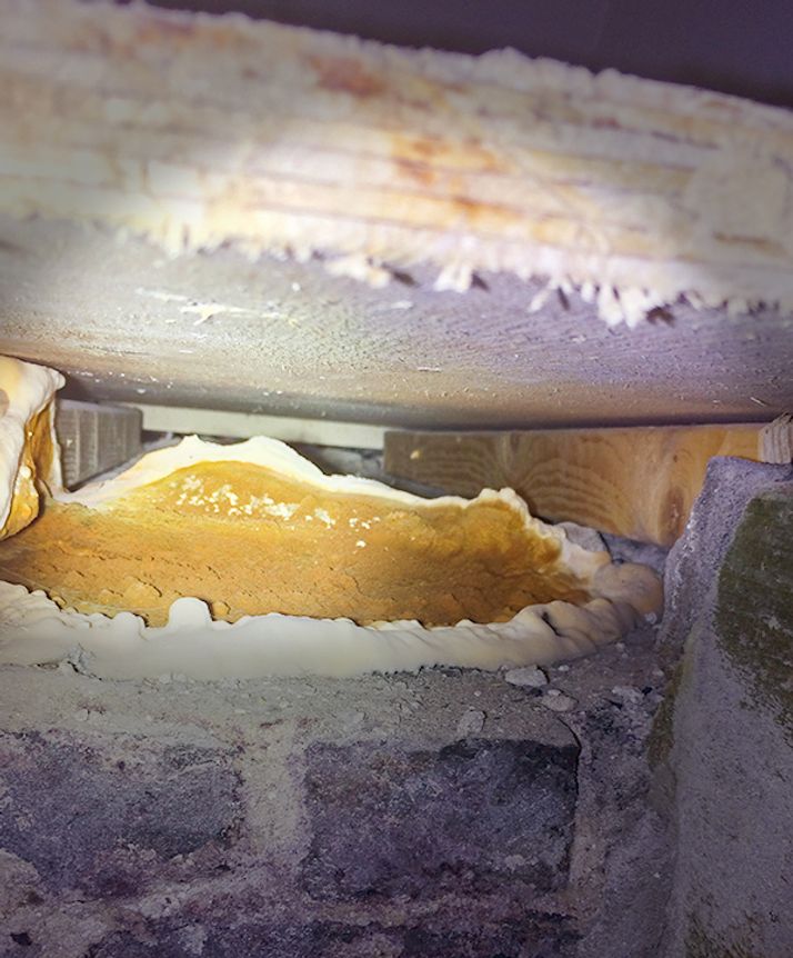 Extensive yellow-orange fungal growth and white mold on wooden structures above a stone wall.