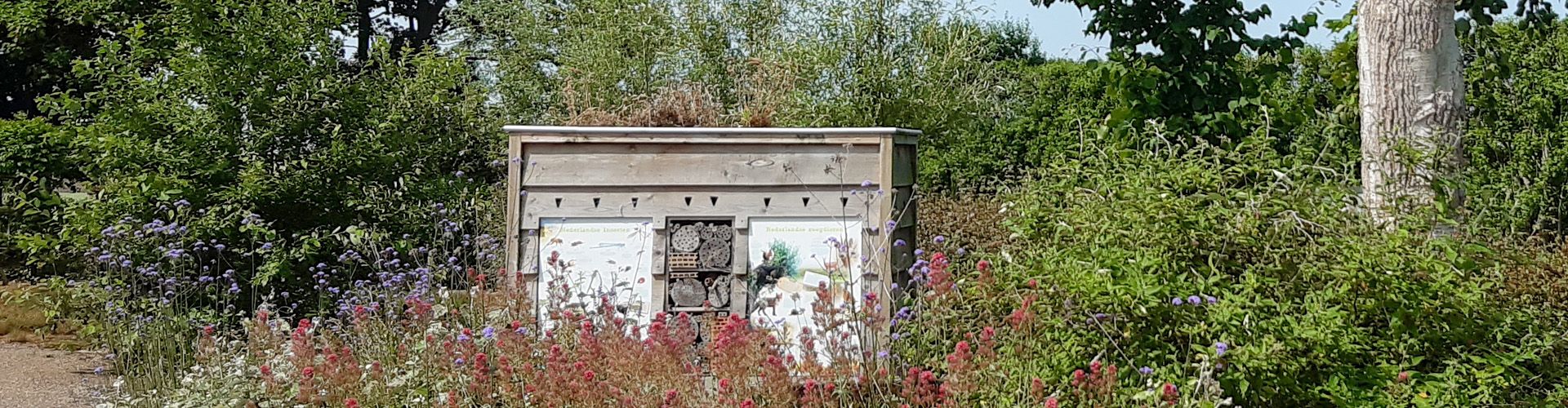 Er is een afbeelding te zien van een insectenhotel die midden in het groen staat, dit ter bevordering van de biodiversiteit