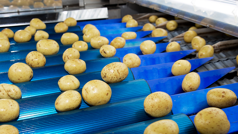 ongediertebestrijder