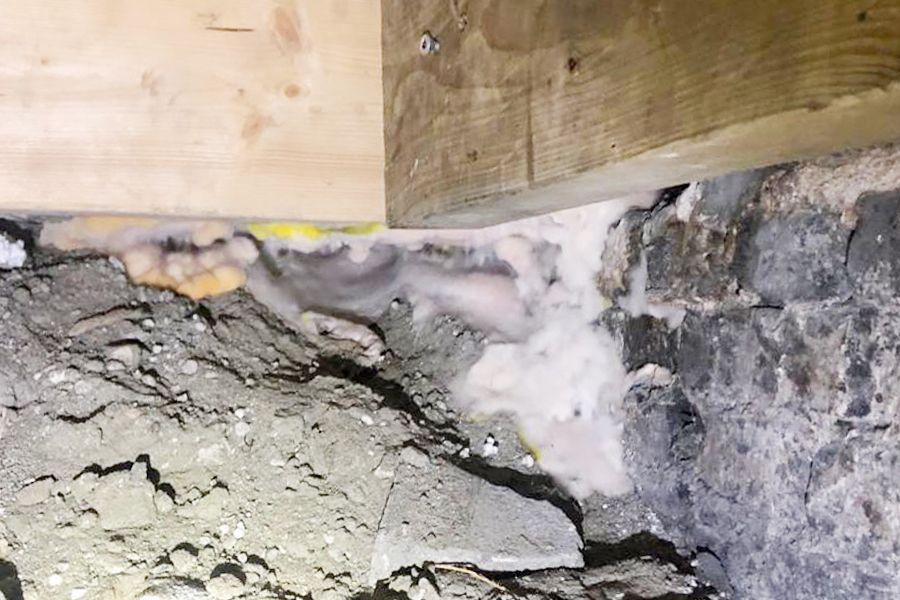 Extensive white and yellow fungal growth on a wooden beam, stone wall, and dirt ground.