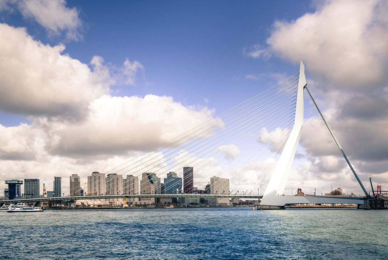 ongediertebestrijding rotterdam