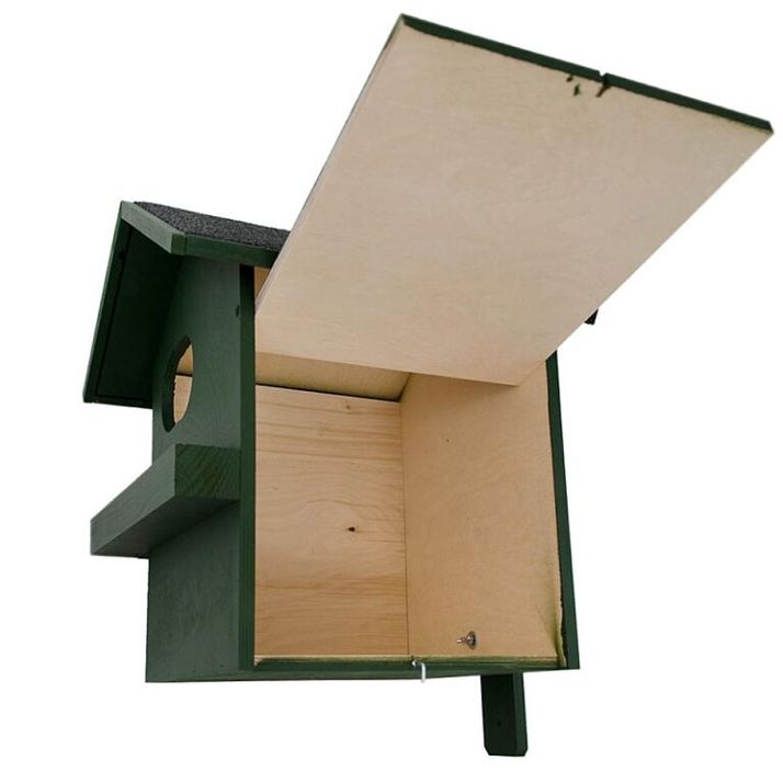 binnenkant eekhoornkast