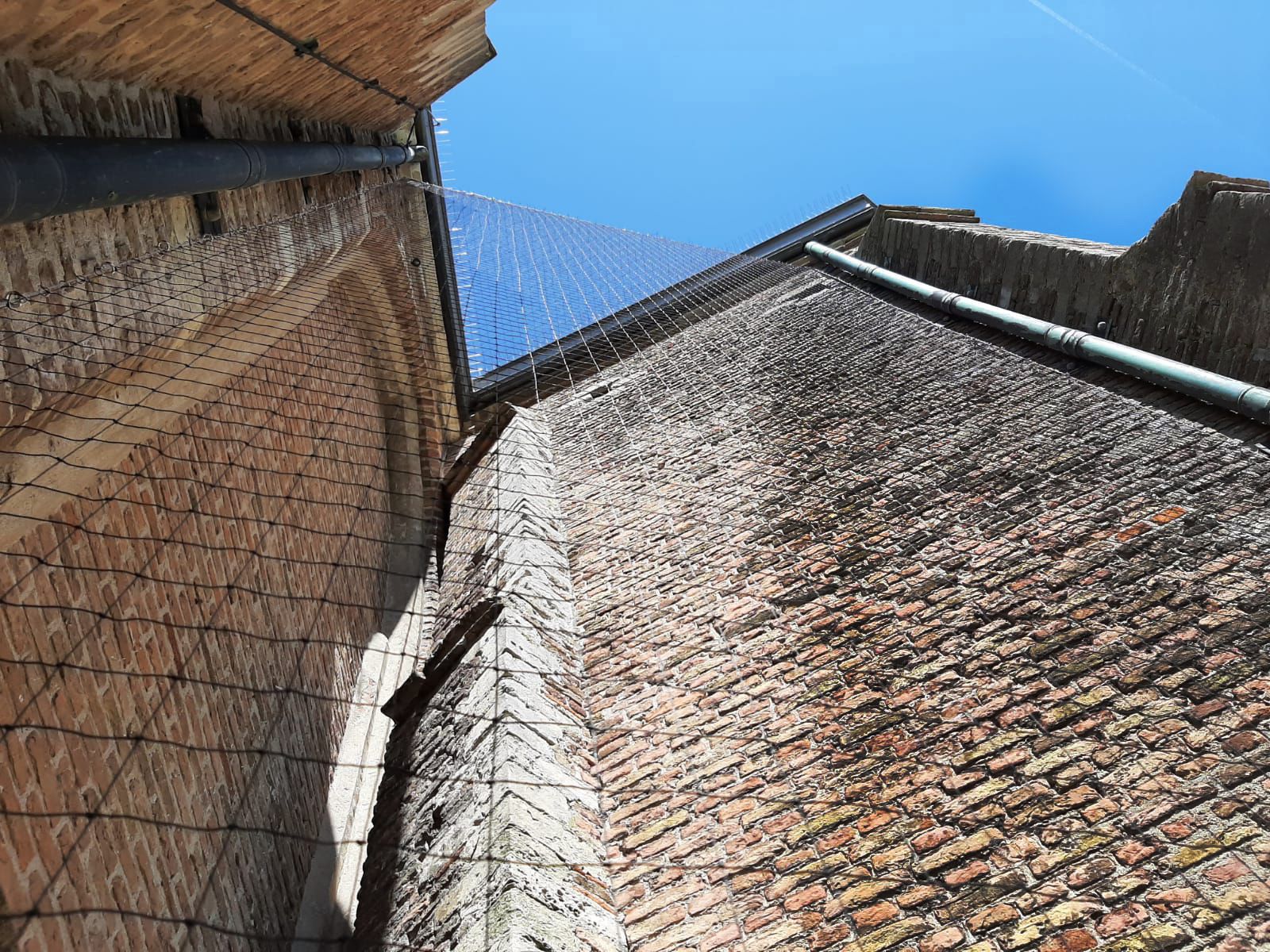 project vogelweringsnetten Adriaanskerk