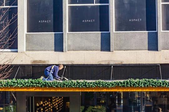 ongediertebestrijdingsdiensten
