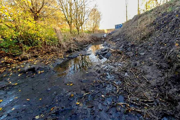 A muddy, shallow stream reflecting the sky, bordered by autumn trees and a steep dirt bank.