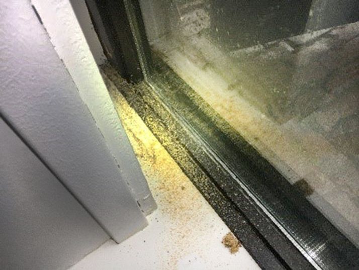 Heavy accumulation of sawdust-like debris and grime along a window frame.