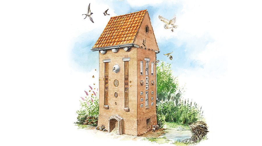 fauantorens om biodiversiteit te vergroten