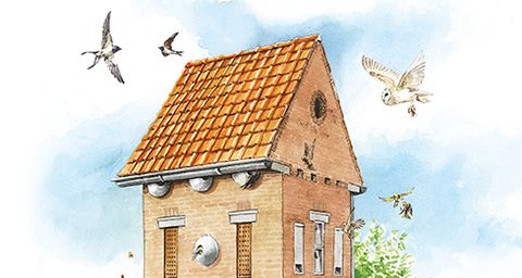 fauantorens om biodiversiteit te vergroten