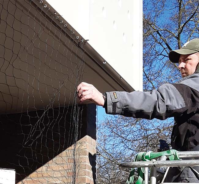 Vogelwering met netten