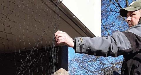 Vogelwering met netten
