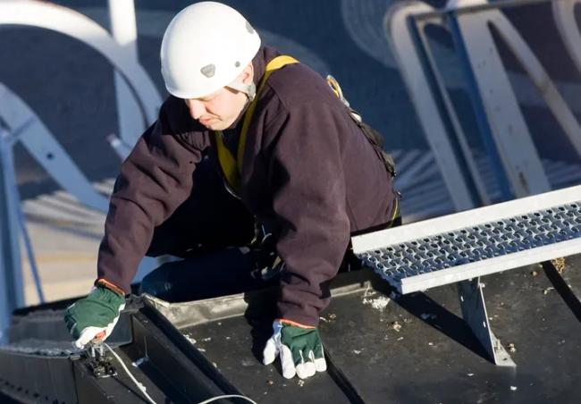 overlast duiven zonnepanelen