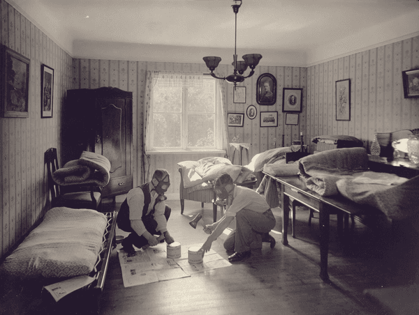 anticimex bed bugs geschiedenis